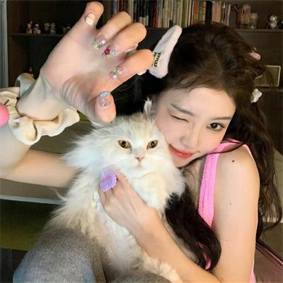 猎鹰队